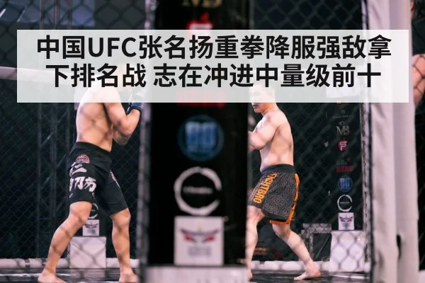 MMA cage fight